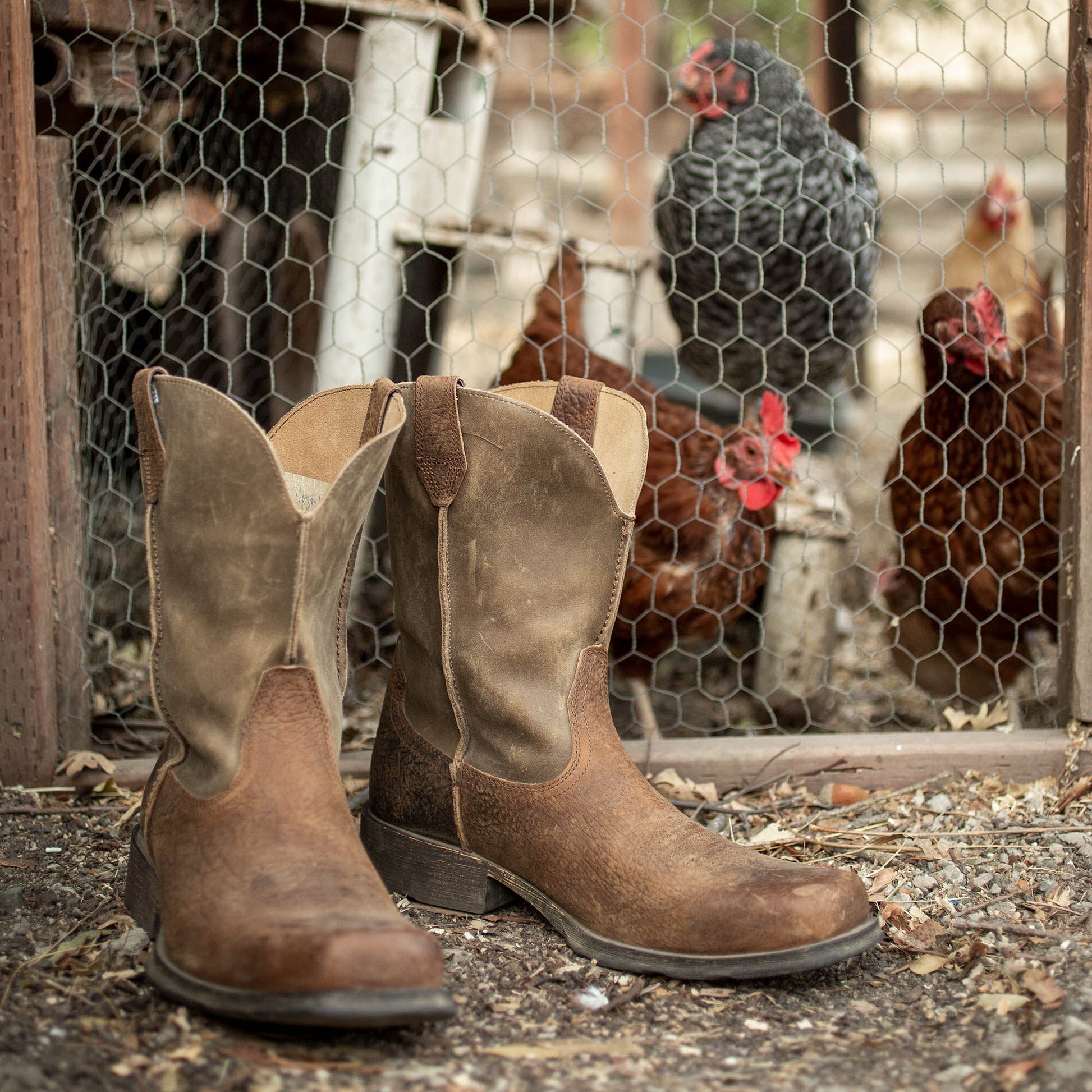 Ariat Rambler Western Boot