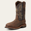 BRUIN BROWN