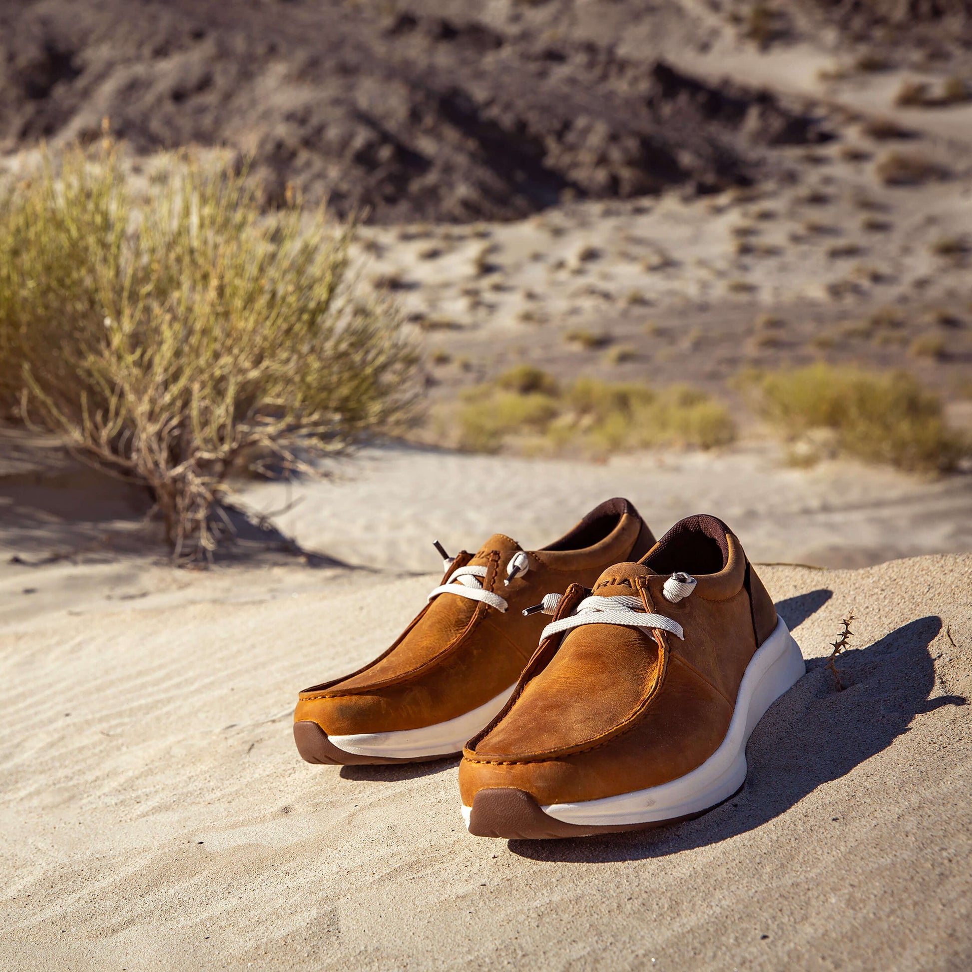 Ariat Buckeye Waterproof Shoe