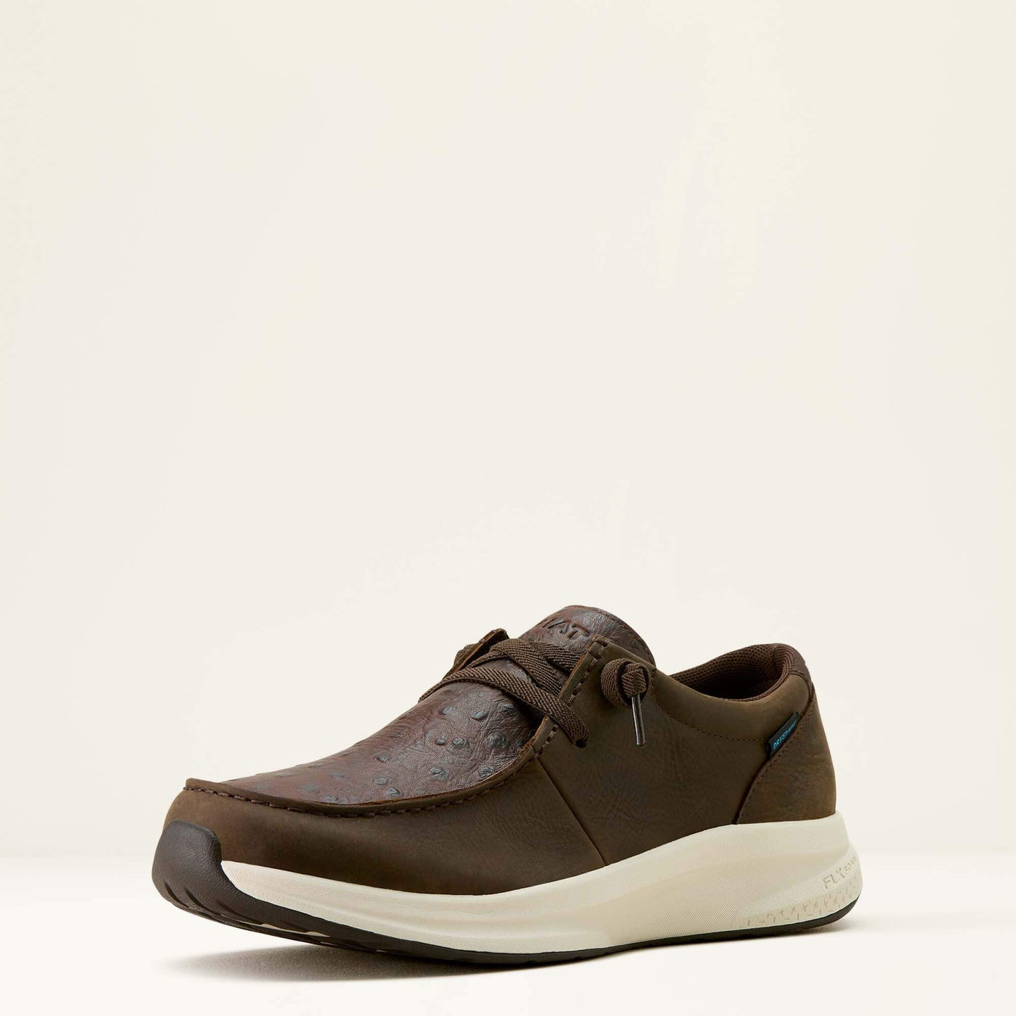 Ariat Buckeye Waterproof Shoe