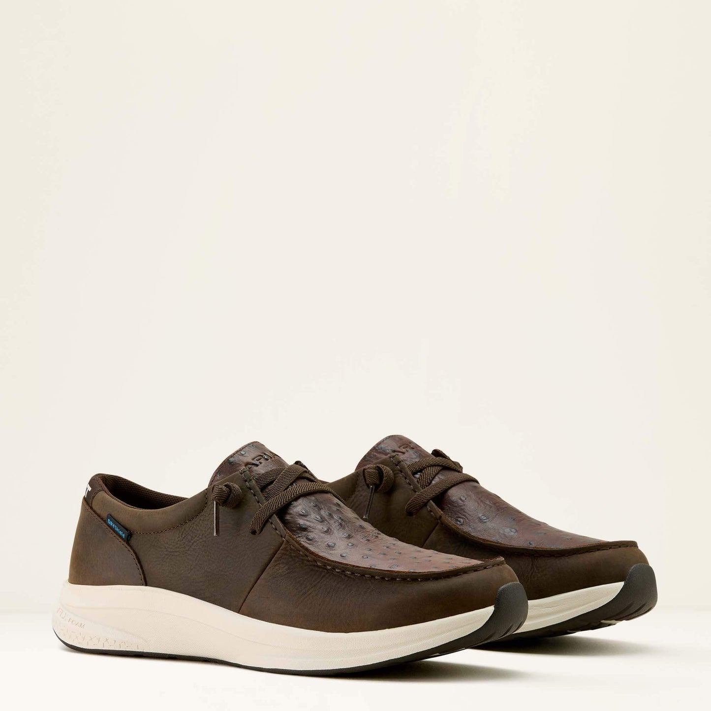 Ariat Buckeye Waterproof Shoe