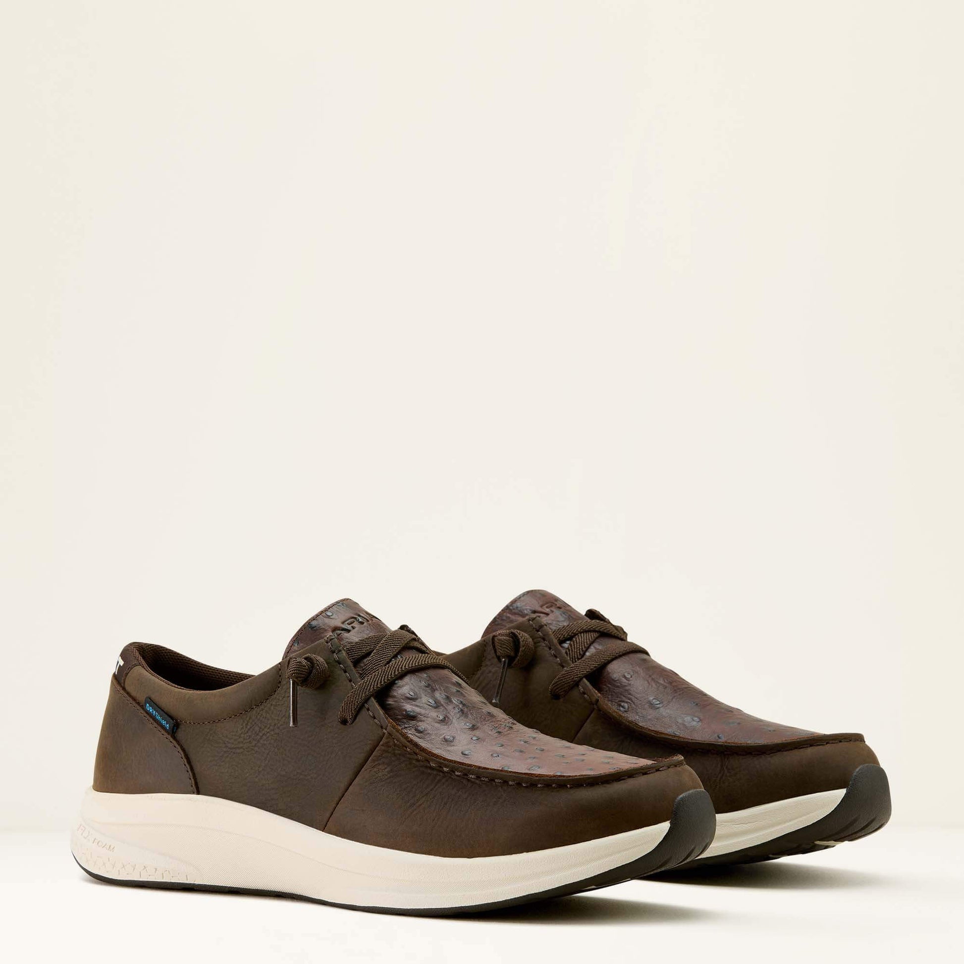 Ariat Buckeye Waterproof Shoe
