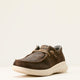 WESTERN BROWN