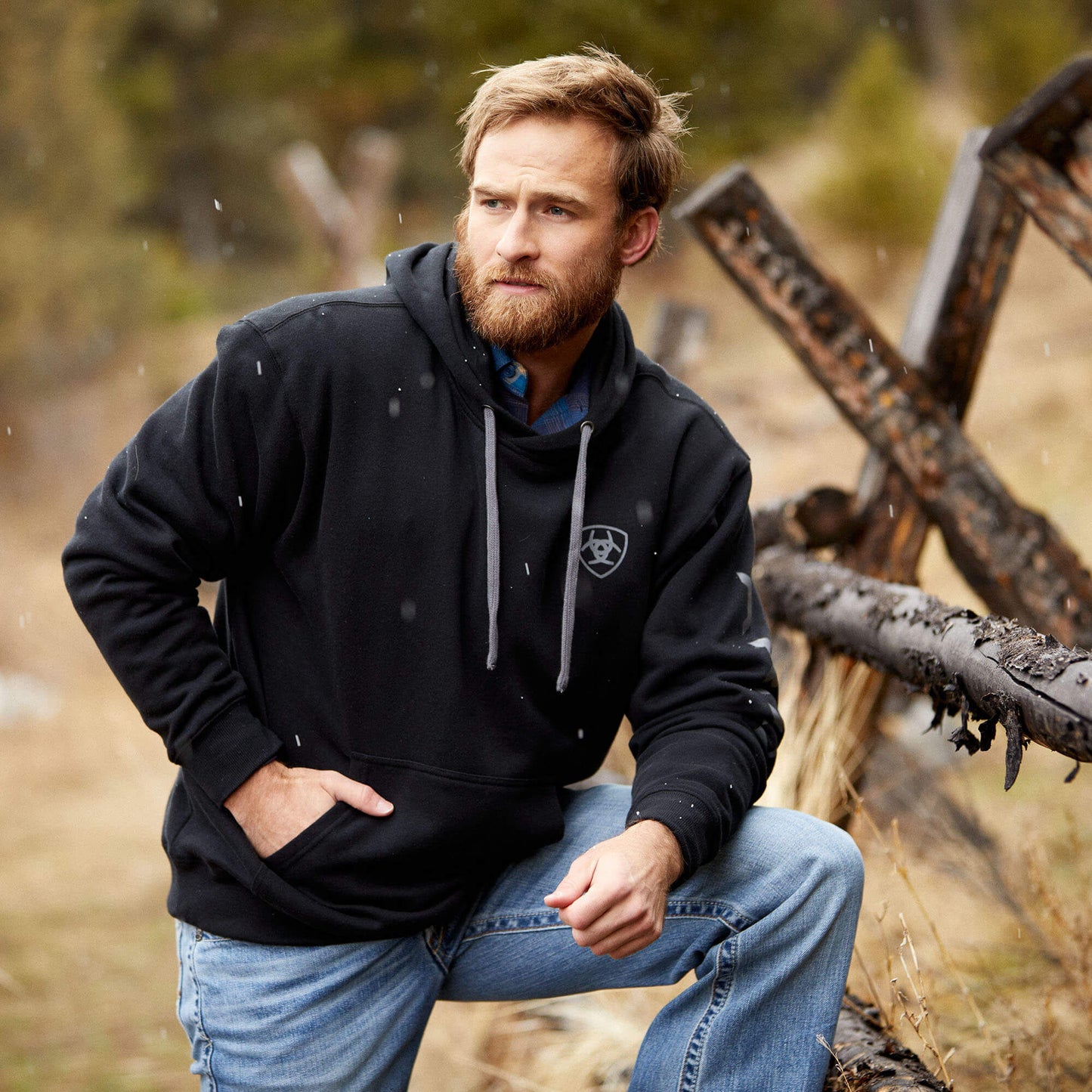 Ariat Ariat Logo Hoodie