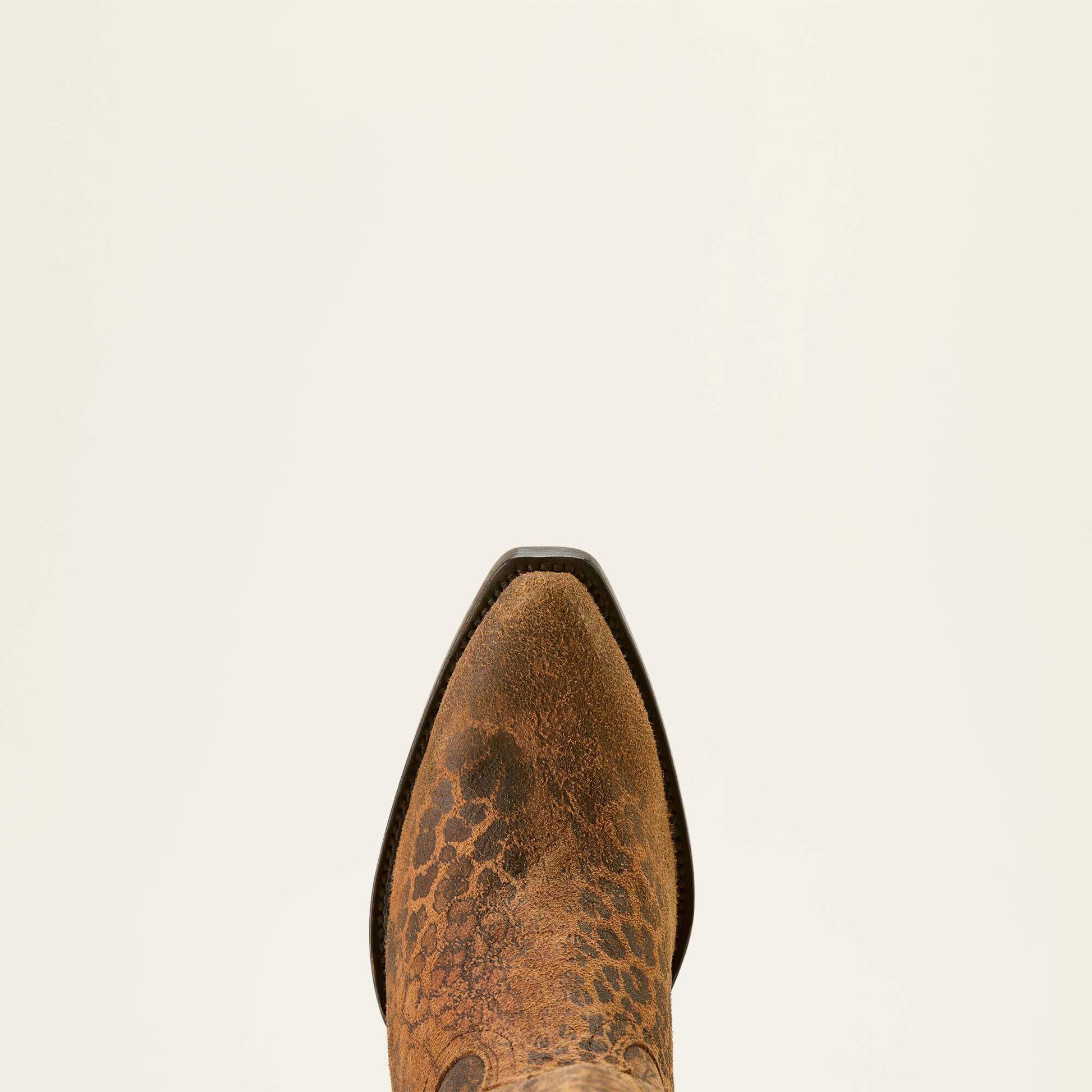 Ariat Casanova X Toe Western Boot