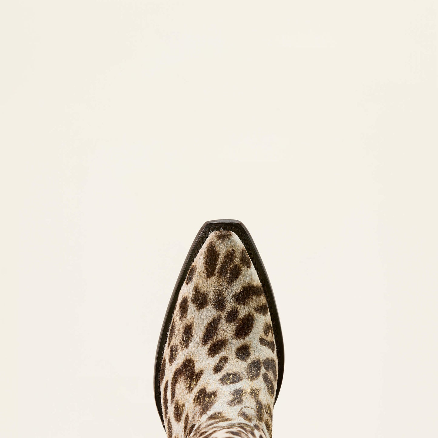 Ariat Casanova X Toe Western Boot