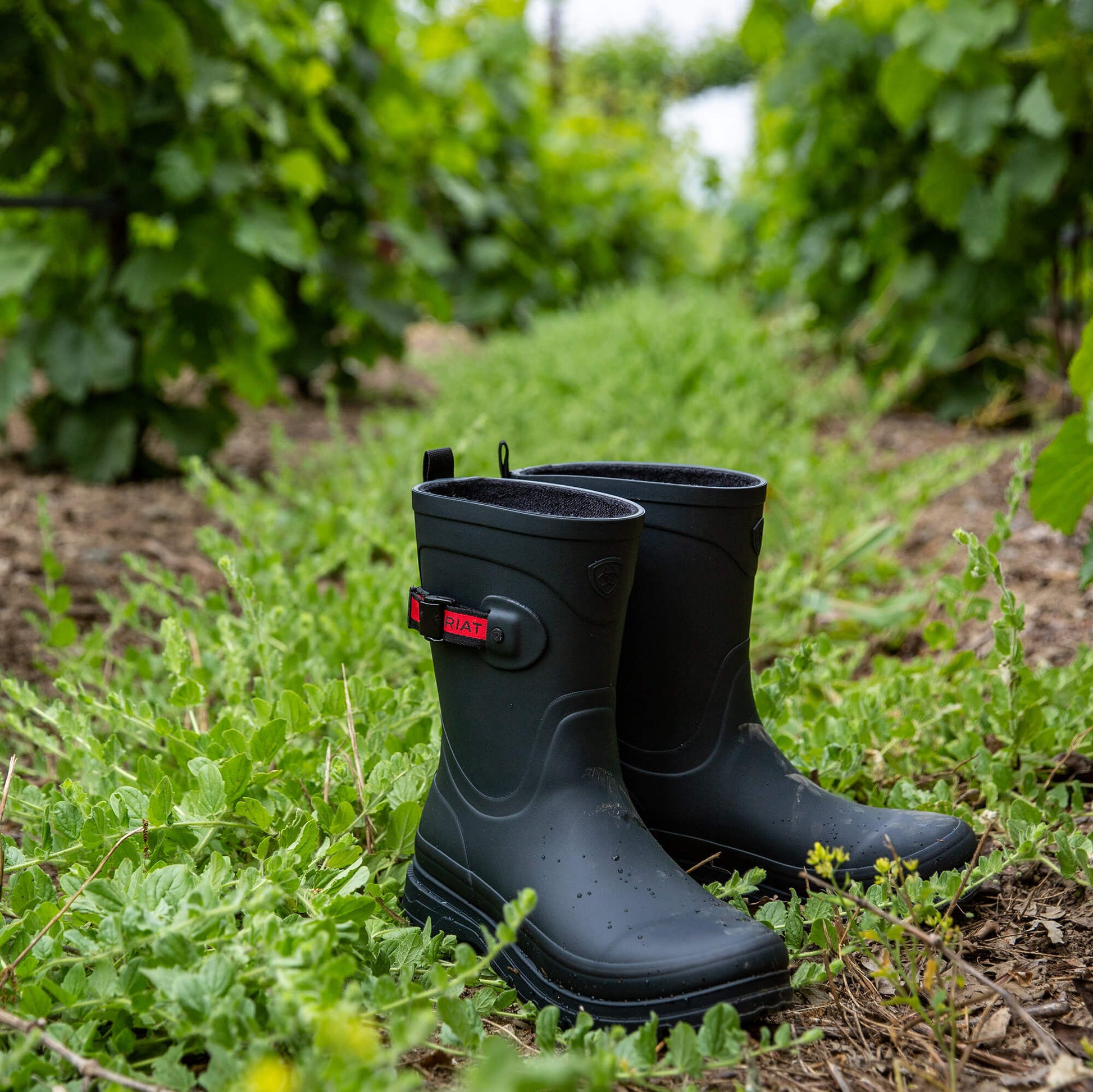 Ariat Kelmarsh Mid Rubber Boot