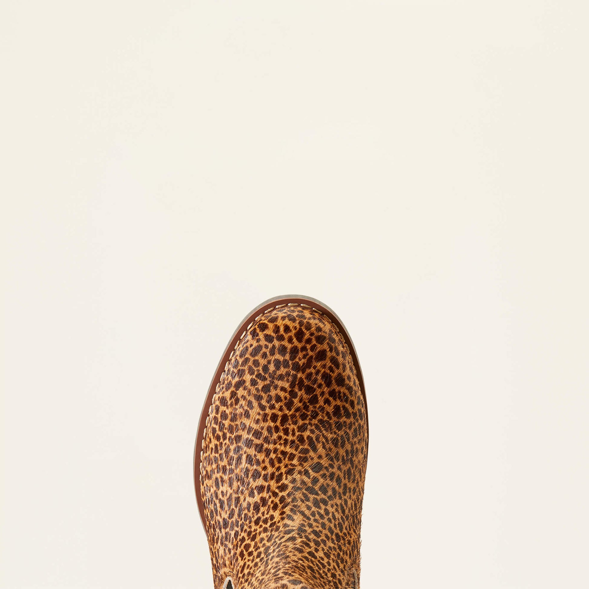 Ariat Wexford Chelsea Boot