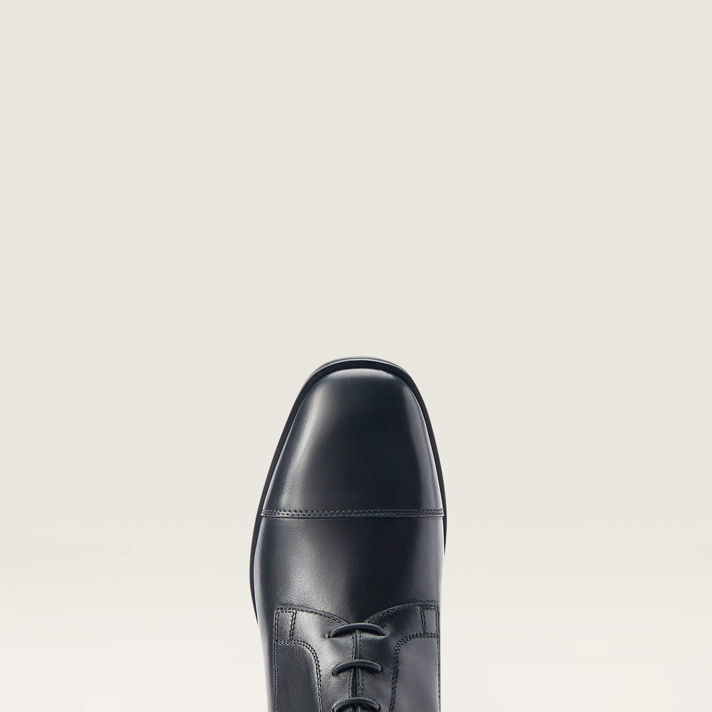 Ariat Ravello Tall Riding Boot