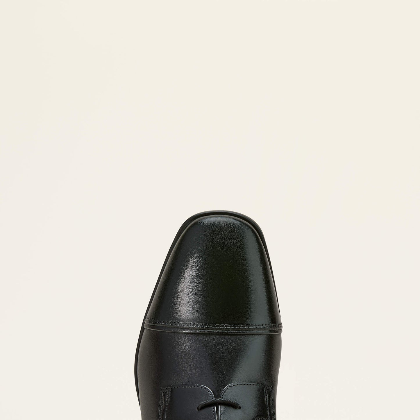 Ariat Palisade Field Tall Riding Boot