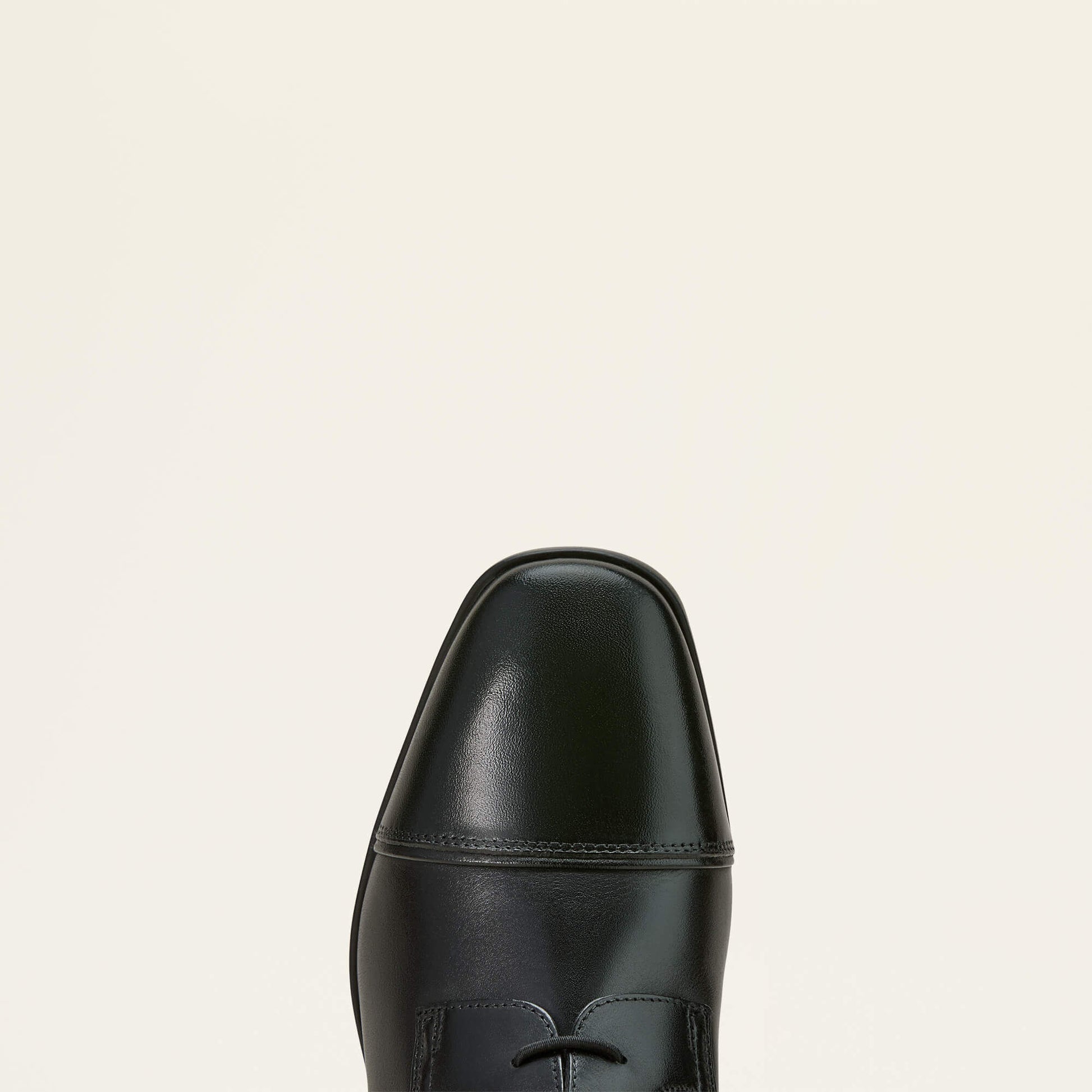Ariat Palisade Field Tall Riding Boot