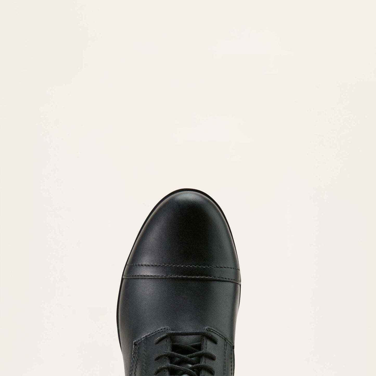 Ariat Scout Paddock Boot