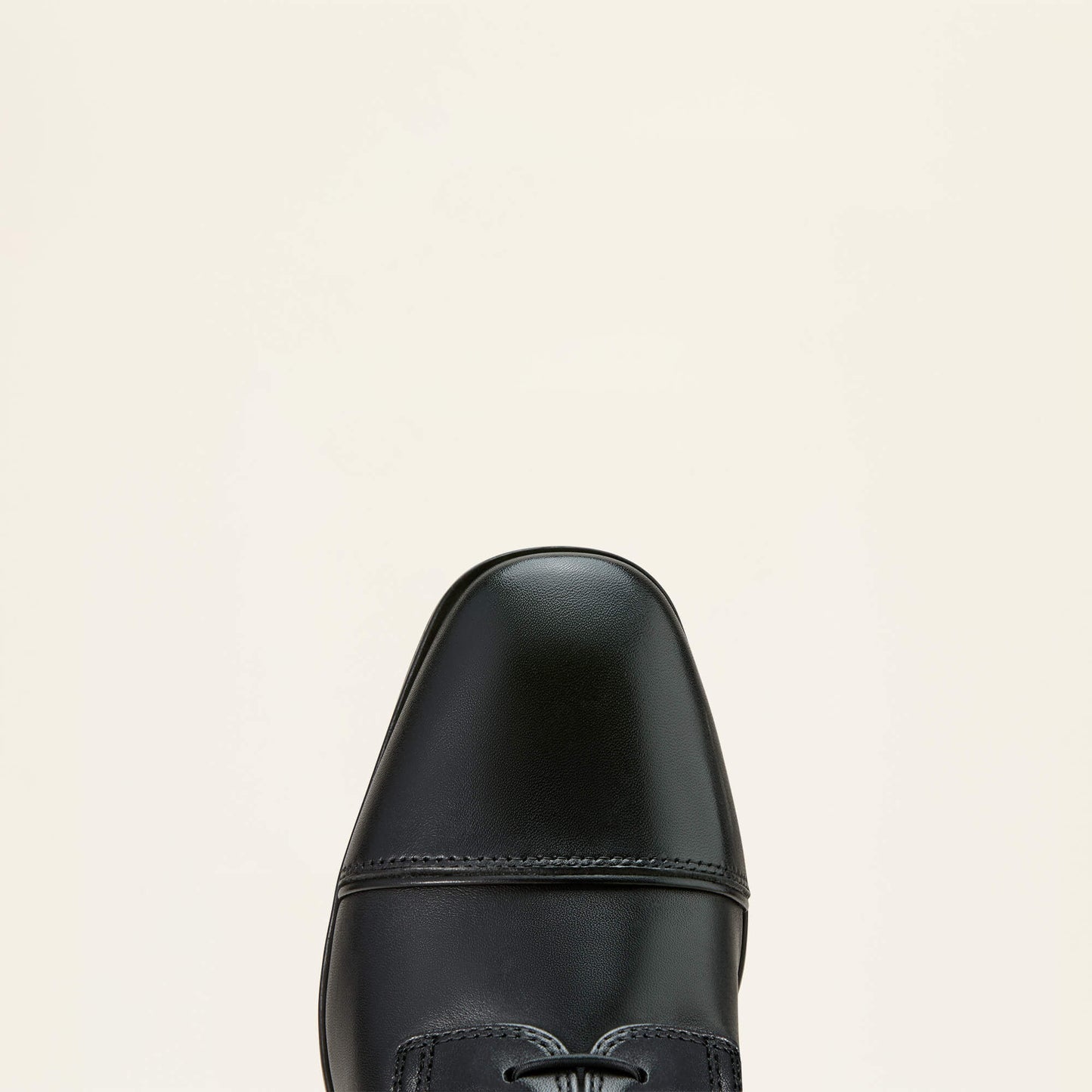 Ariat Palisade Lace Tall Riding Boot