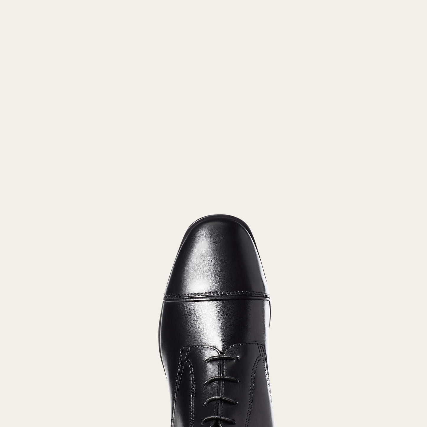 Ariat Palisade Tall Riding Boot