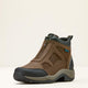 PALM BROWN