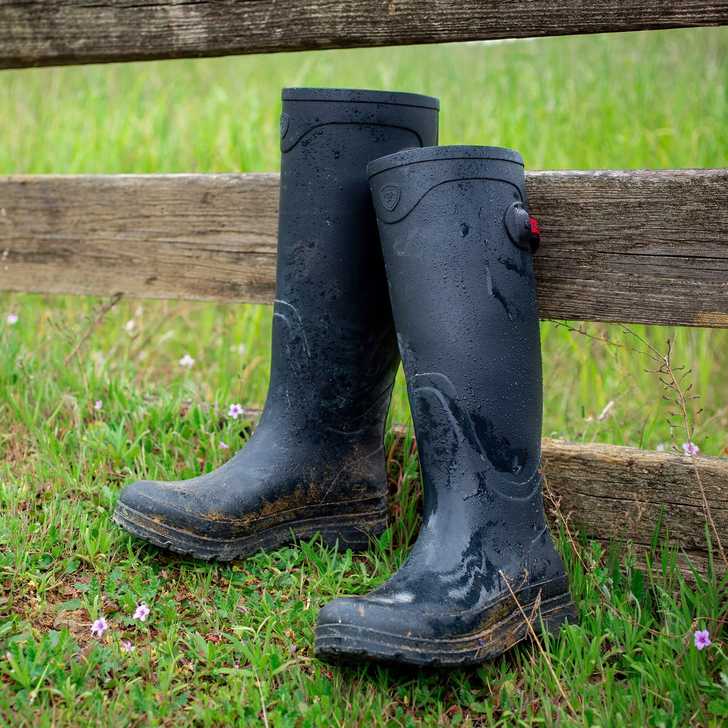 Ariat Kelmarsh Rubber Boot