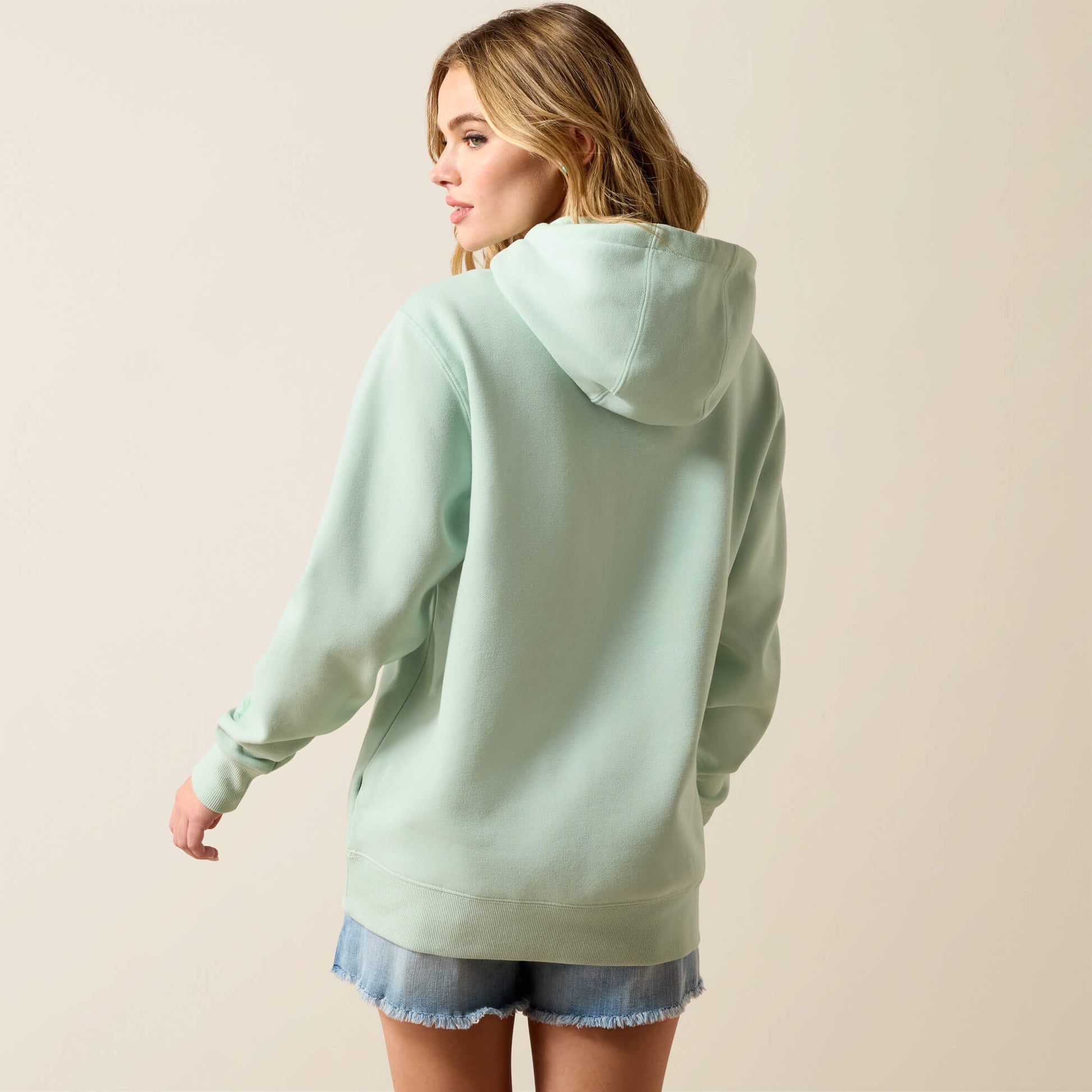 Ariat Ariat Logo 2.0 Hoodie