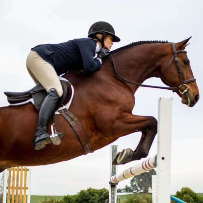 Ariat Speranza Knee Patch Breech