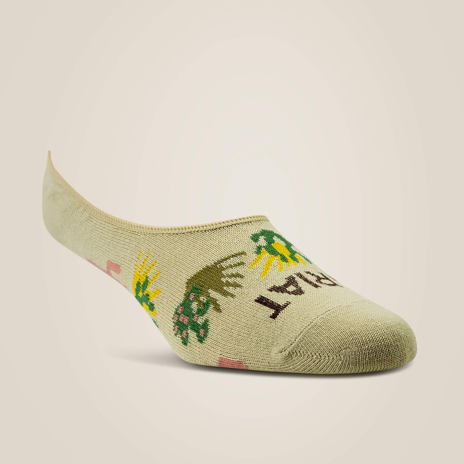 Ariat No Slip No Show Sock 2 Pair Multi Color Pack