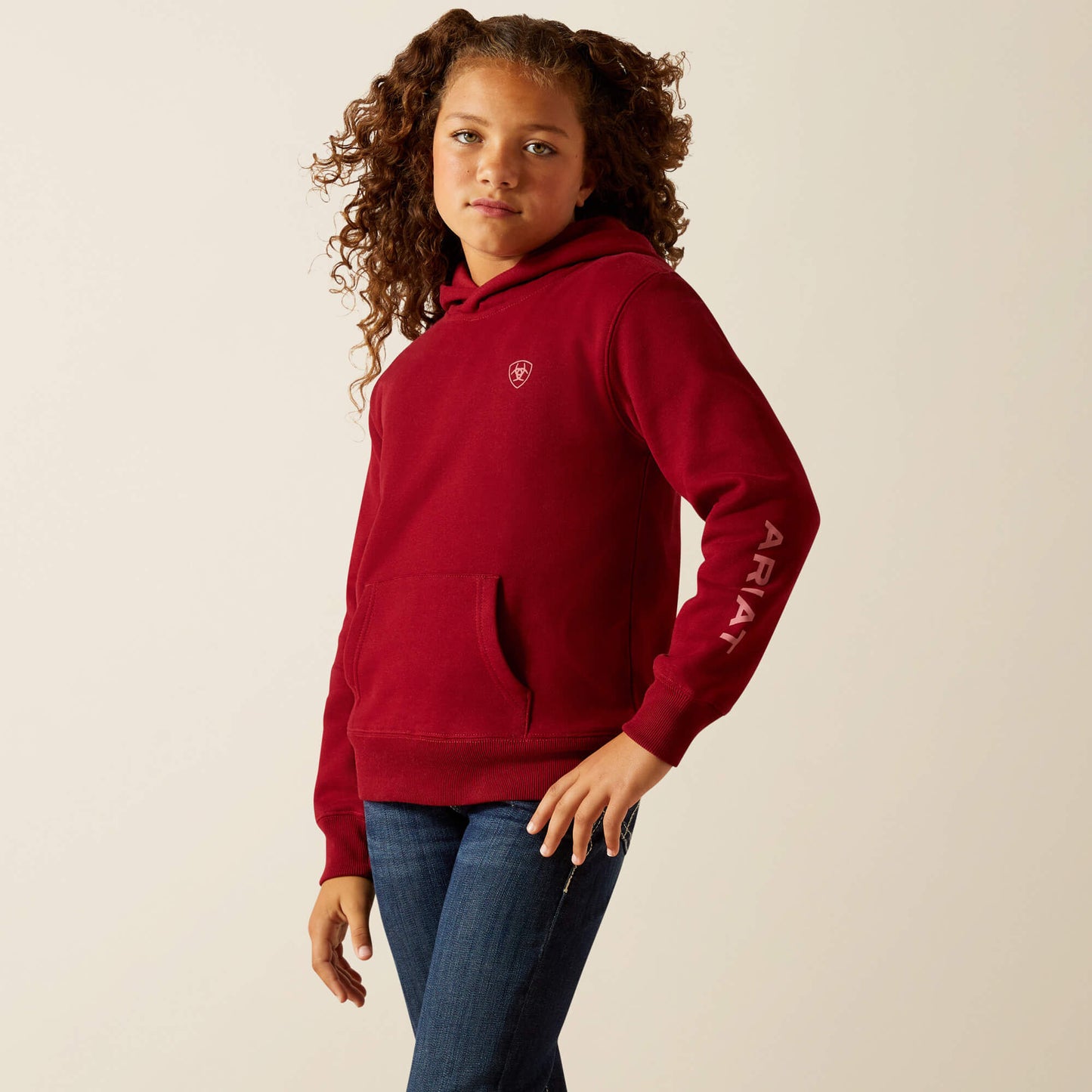 Ariat Ariat 2.0 Hoodie