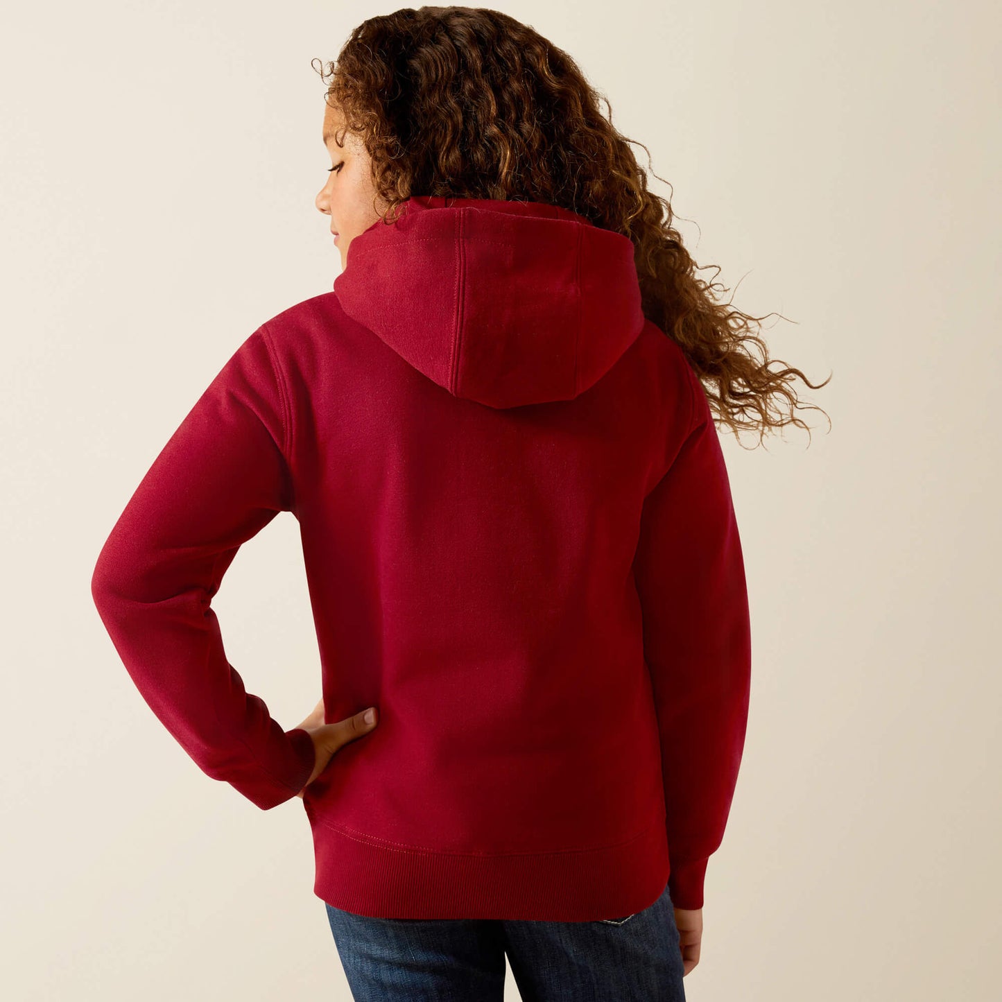 Ariat Ariat 2.0 Hoodie