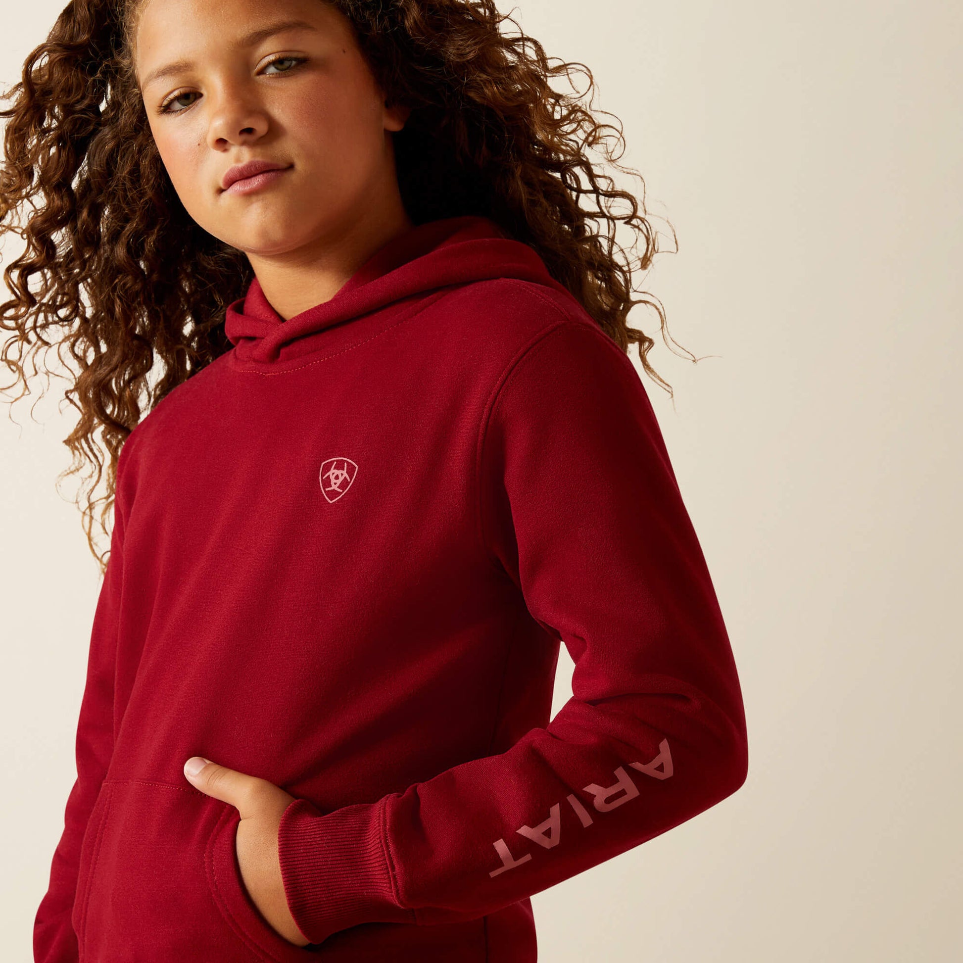 Ariat Ariat 2.0 Hoodie