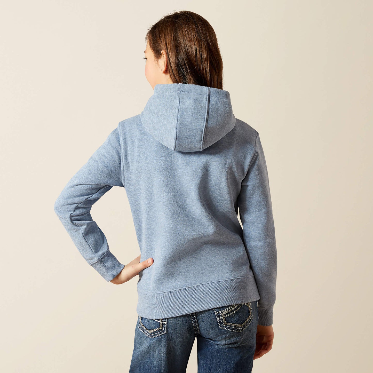 Ariat Ariat 2.0 Hoodie